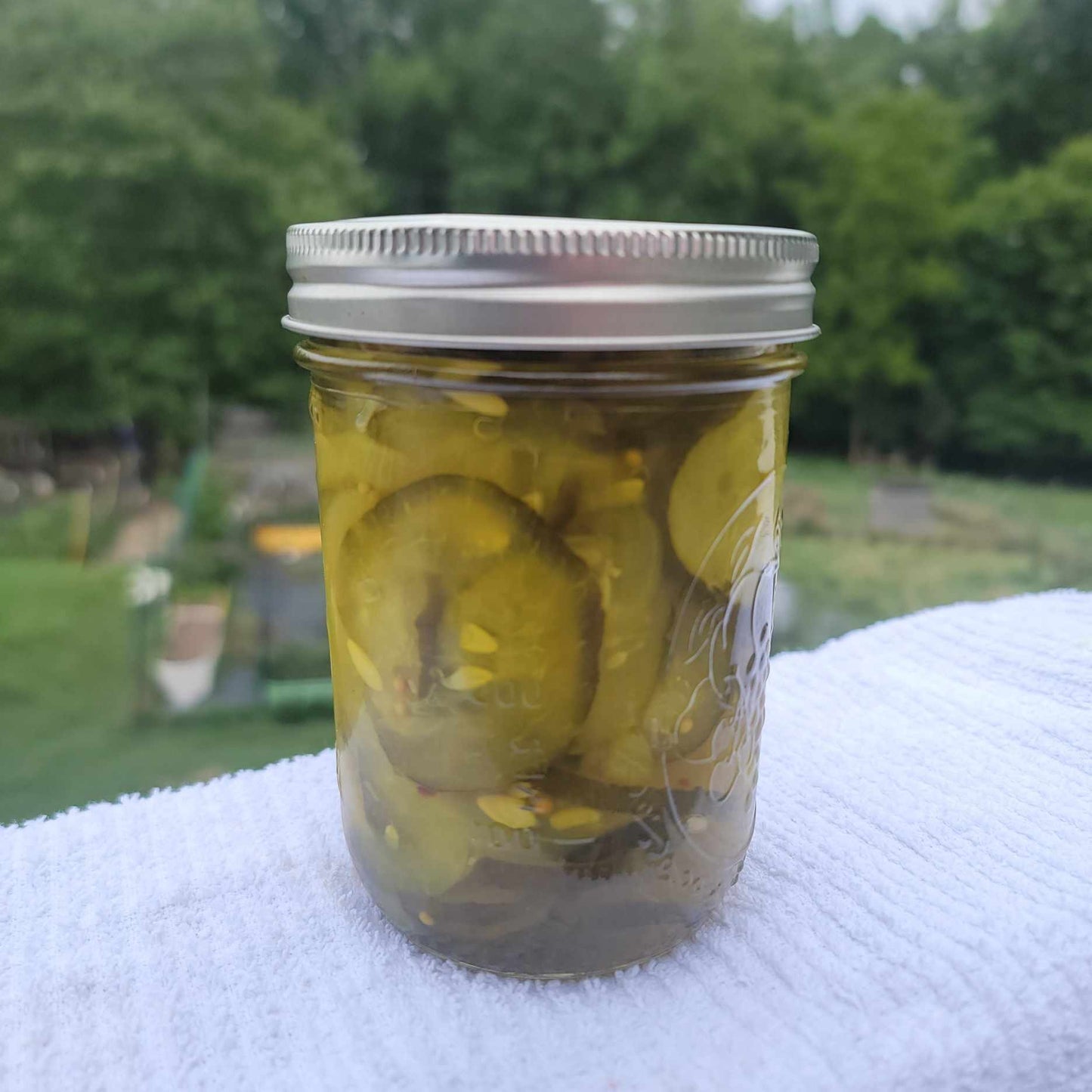 Bread and Butter Pickles