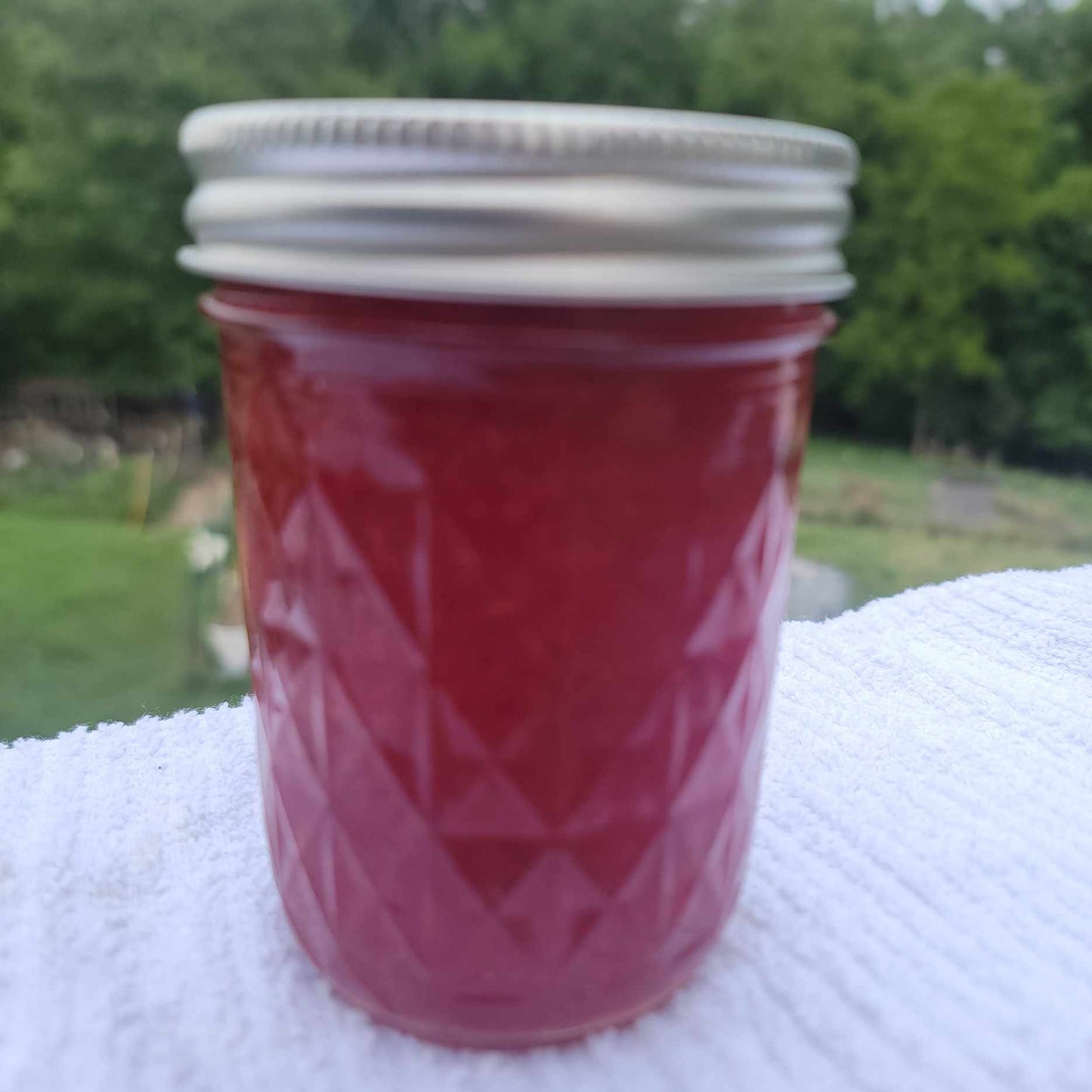 Strawberry Jam w/Orange Zest
