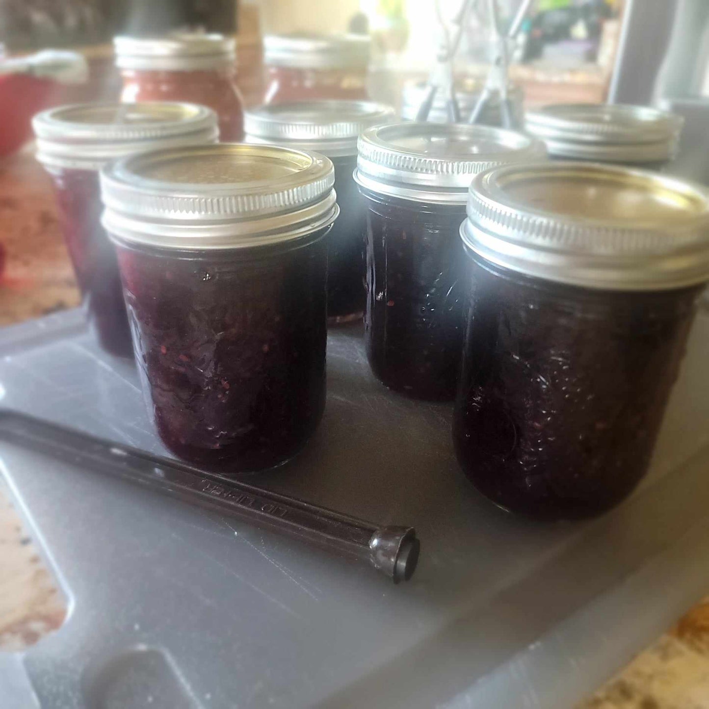 Blackberry w/Elderberry Jam